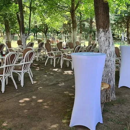 Salas Potkovica * Novi Sad